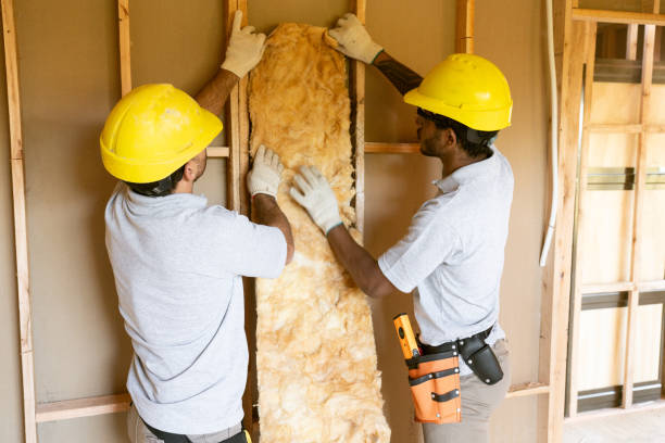 Reliable Ahoskie, NC Insulation Services Solutions